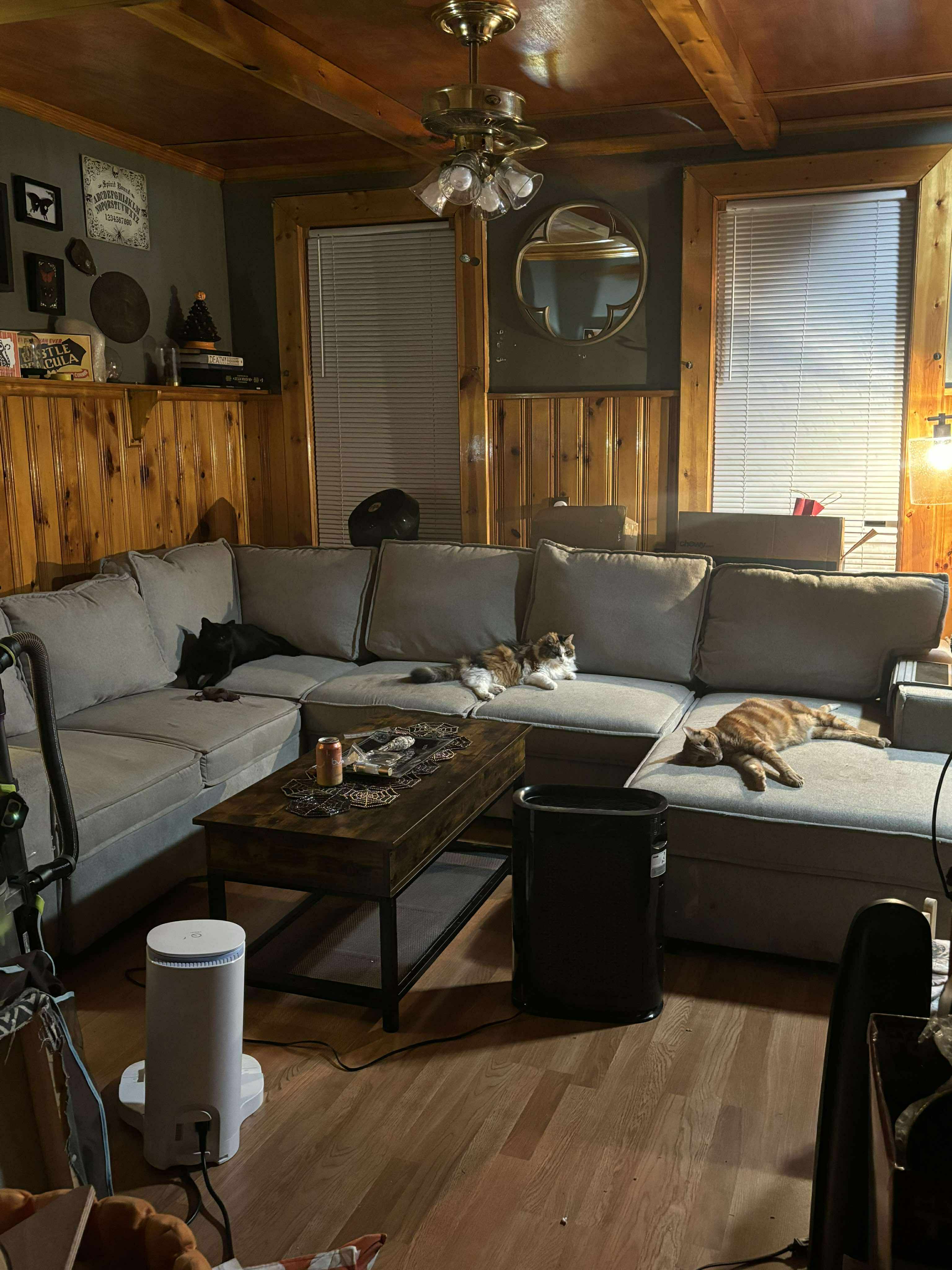 Living room furniture removal