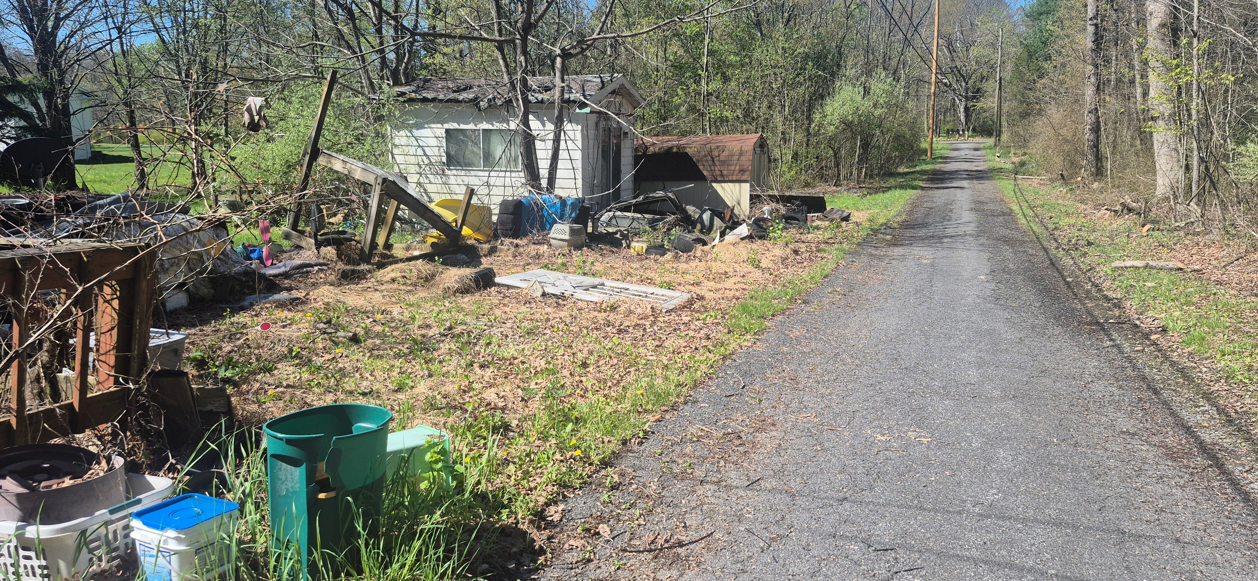 Overgrown property with scattered debris beside a rural road before an estate cleanout